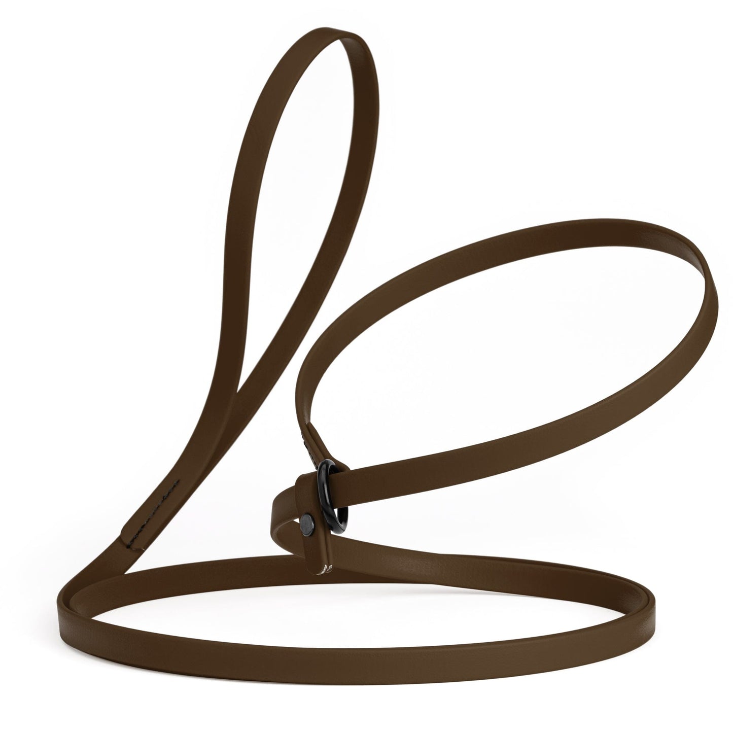 Biothane Slip Lead for Dogs, 5FT and 7FT