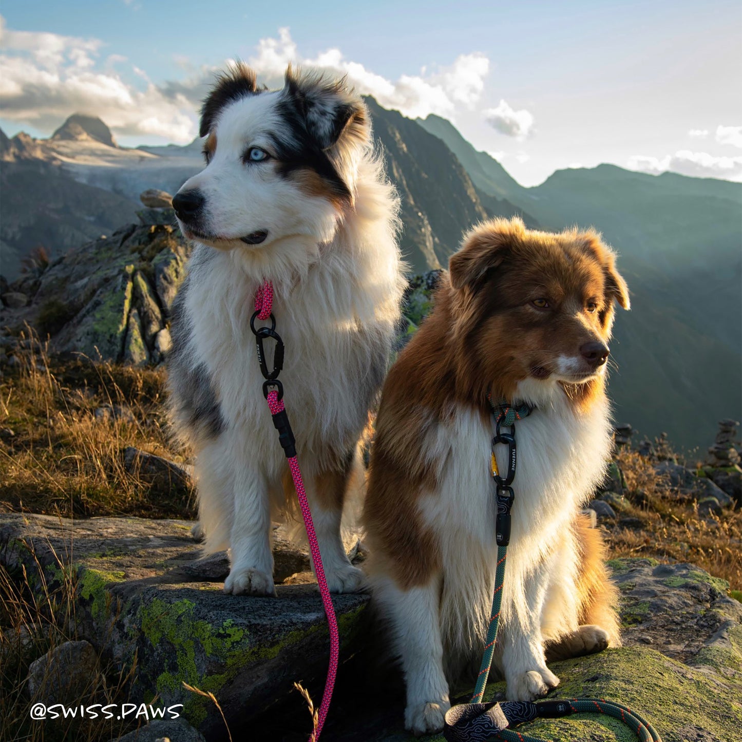 Tuenne Customizable Norte Dog Leash