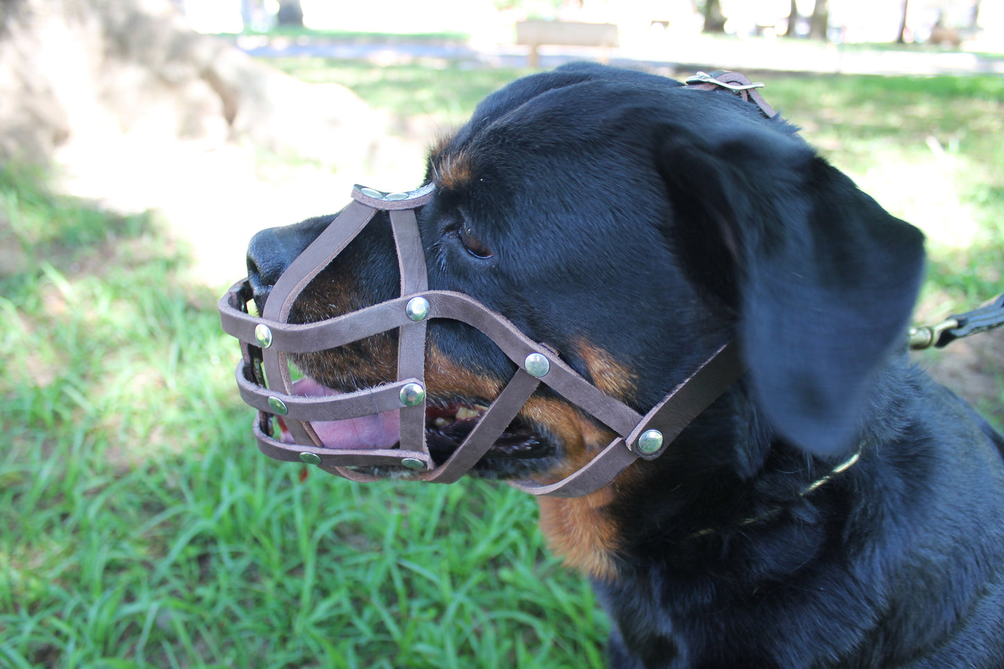 Zawar Genuine Leather Touring Muzzle