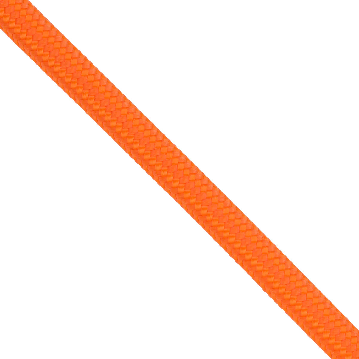 BlackJacks Leather Heavy Paracord Slip leads