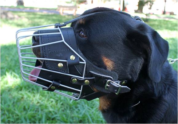 Zawar Work & Ride Muzzle