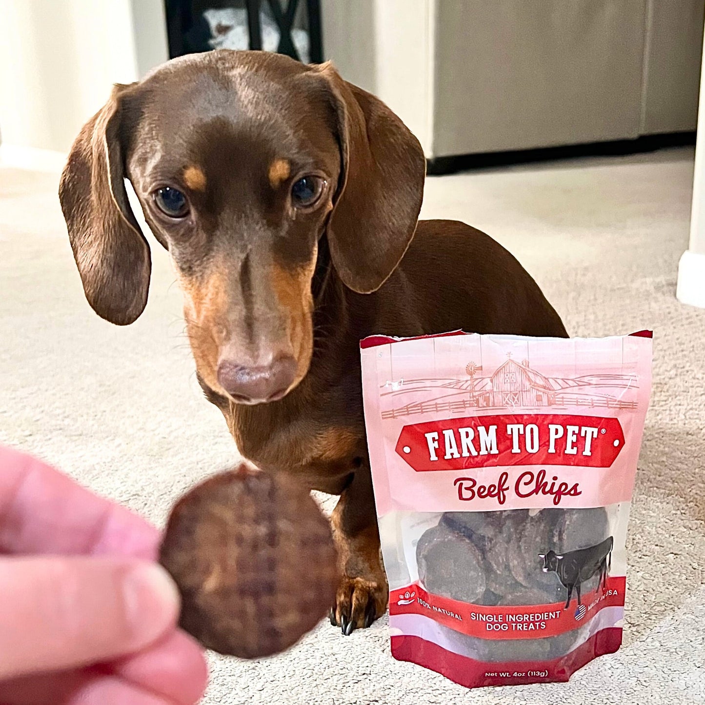 Farm to Pet Beef Chips for Dogs