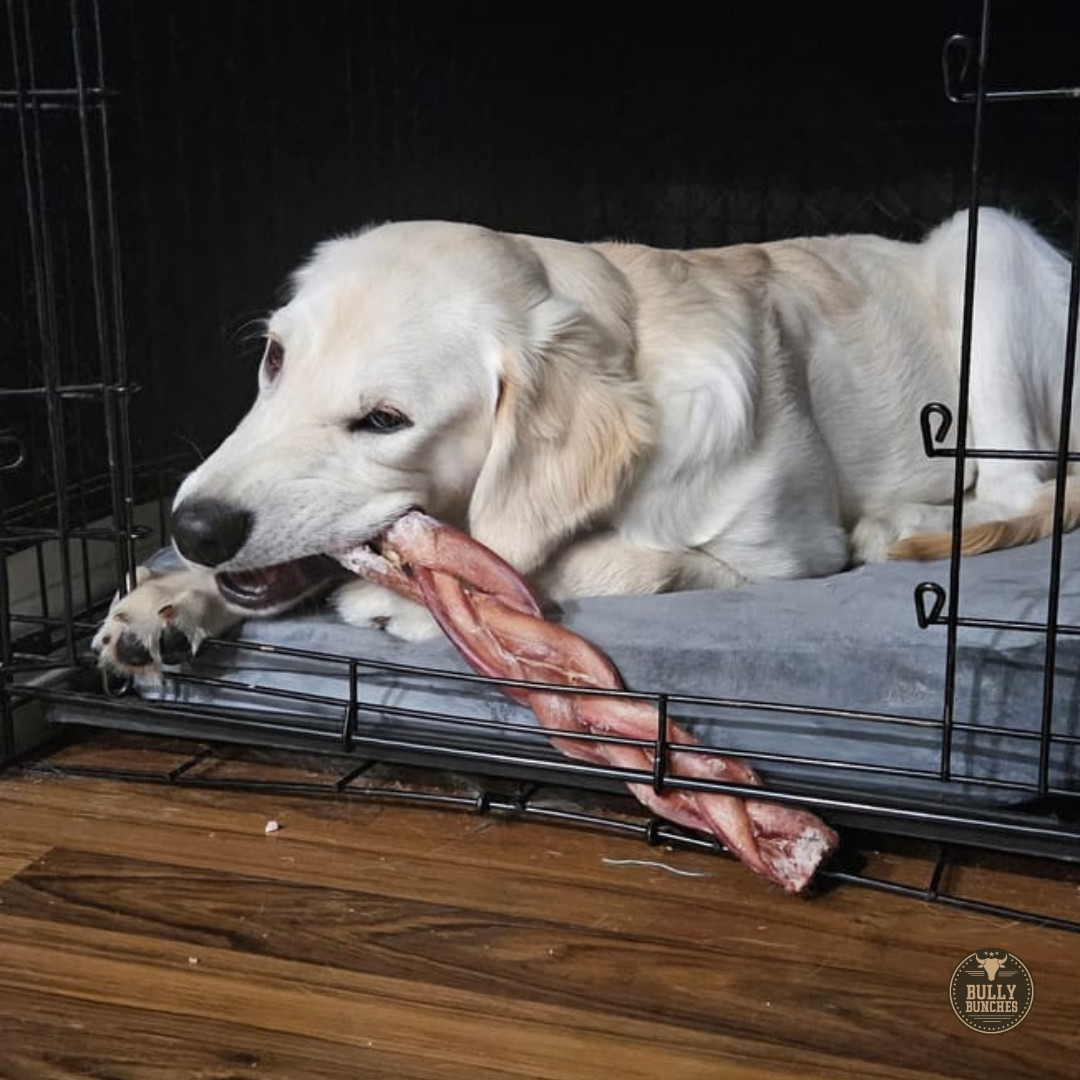 Bully Bunches 12 Inch Monster Braided Bully Stick
