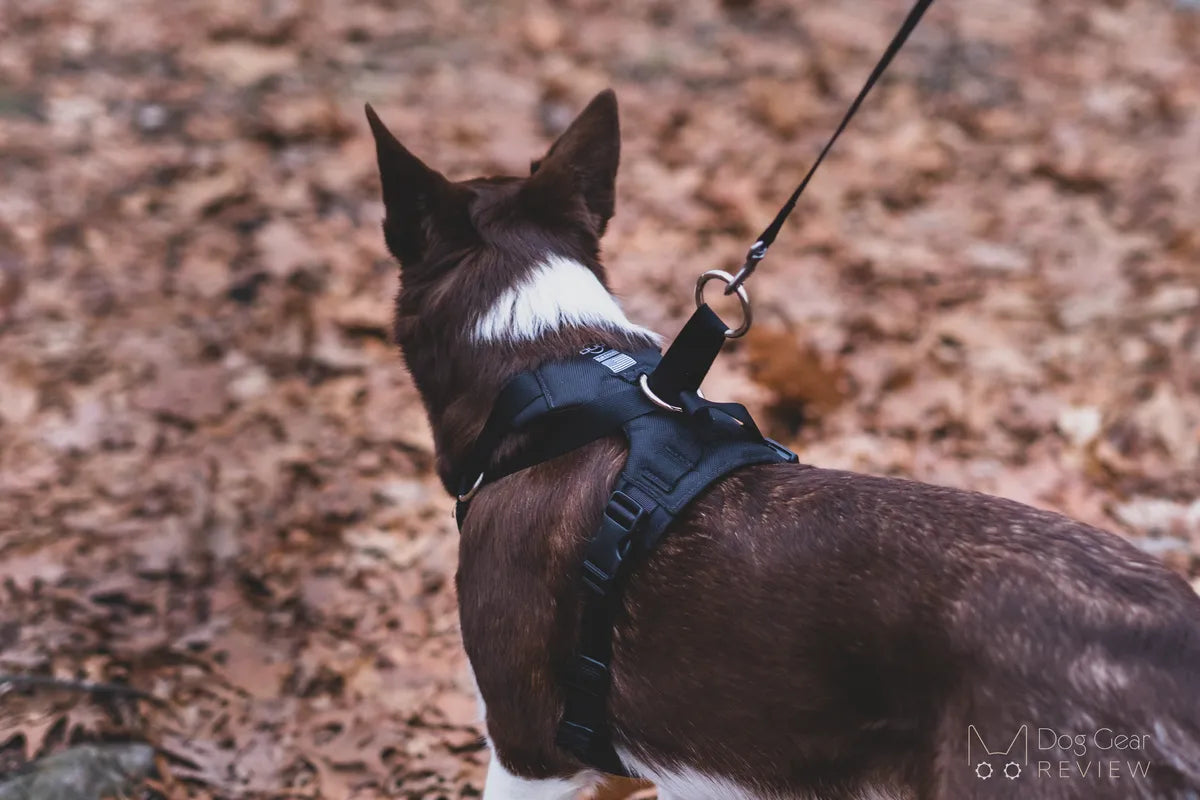 DUO 'ADAPT' No Slip Dog Harness