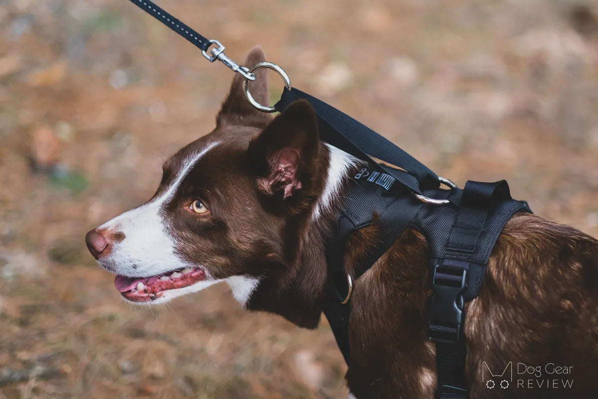 DUO 'ADAPT' No Slip Dog Harness