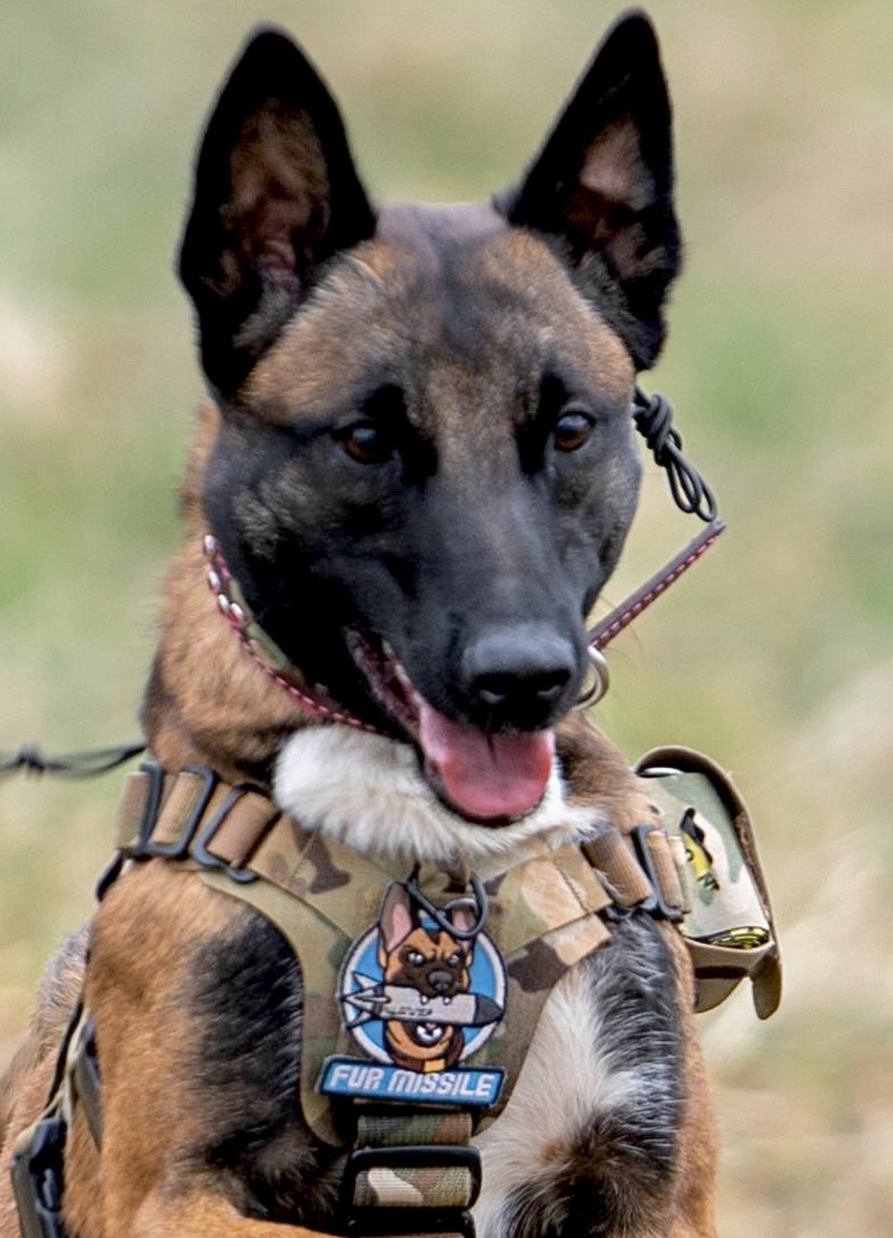FUR MISSILE Morale Patch