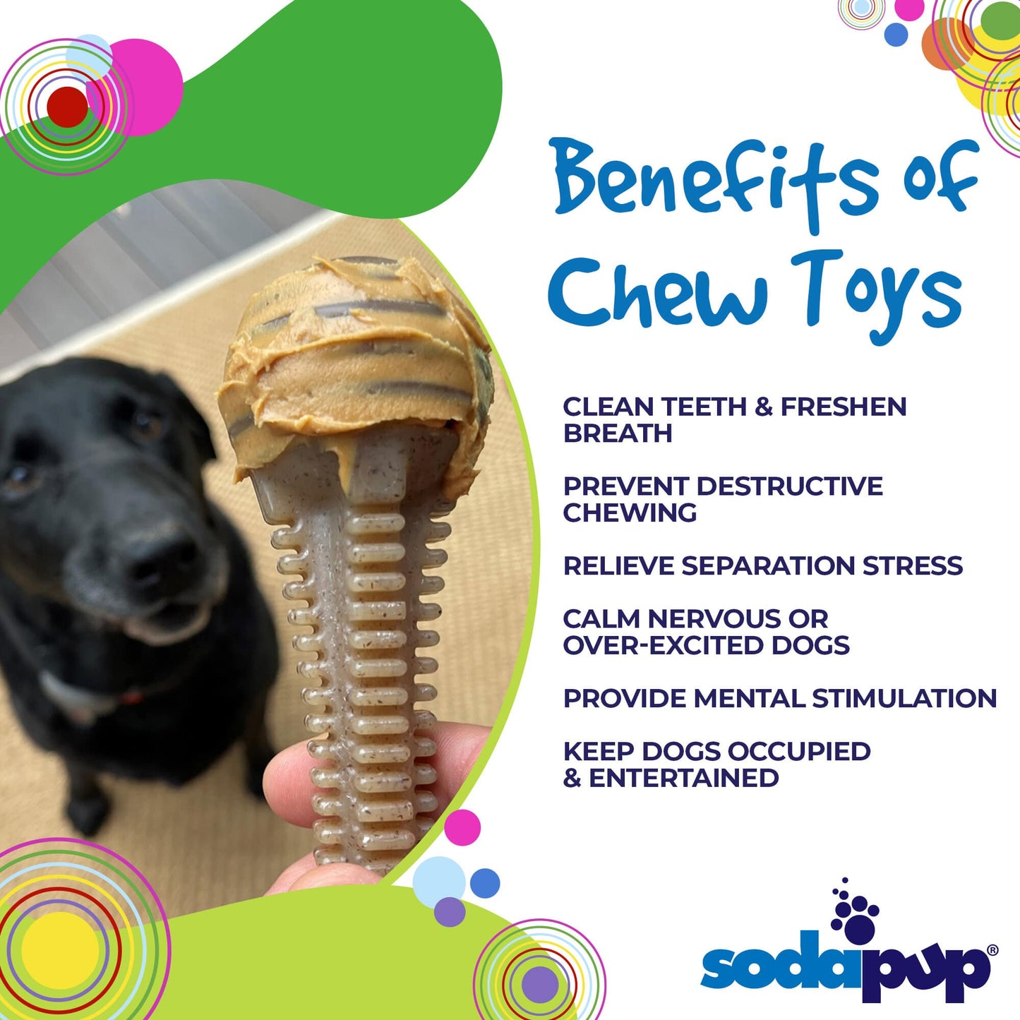 Honey Bone Dental Tower eChew Ultra Durable Nylon Dog Chew Toy