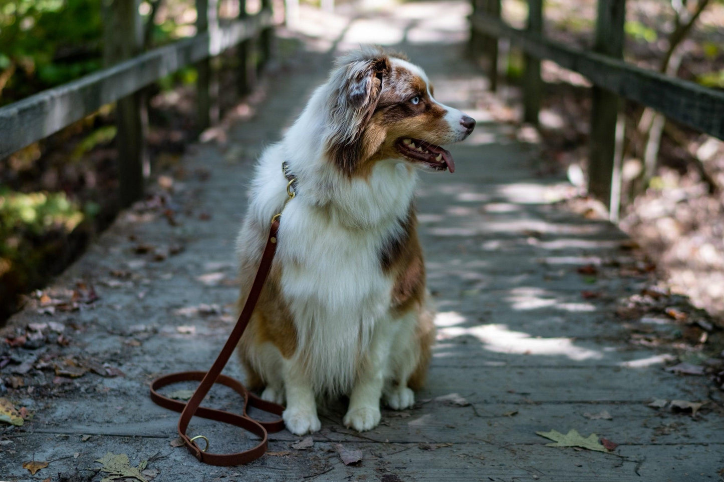 Whiskey Leather Works Full Leather Dog Leash