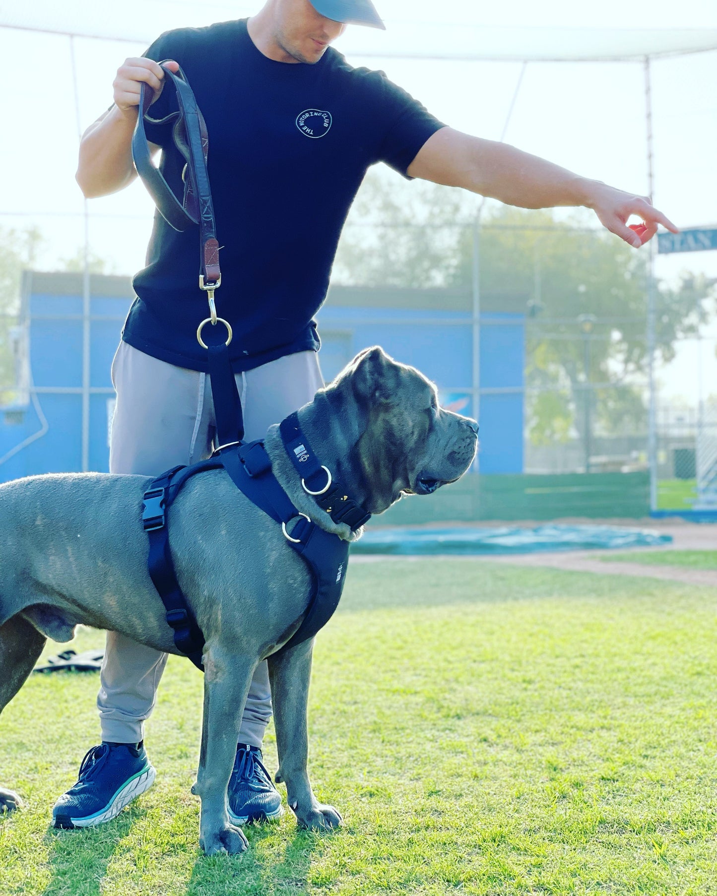 DUO 'ADAPT' No Slip Dog Harness
