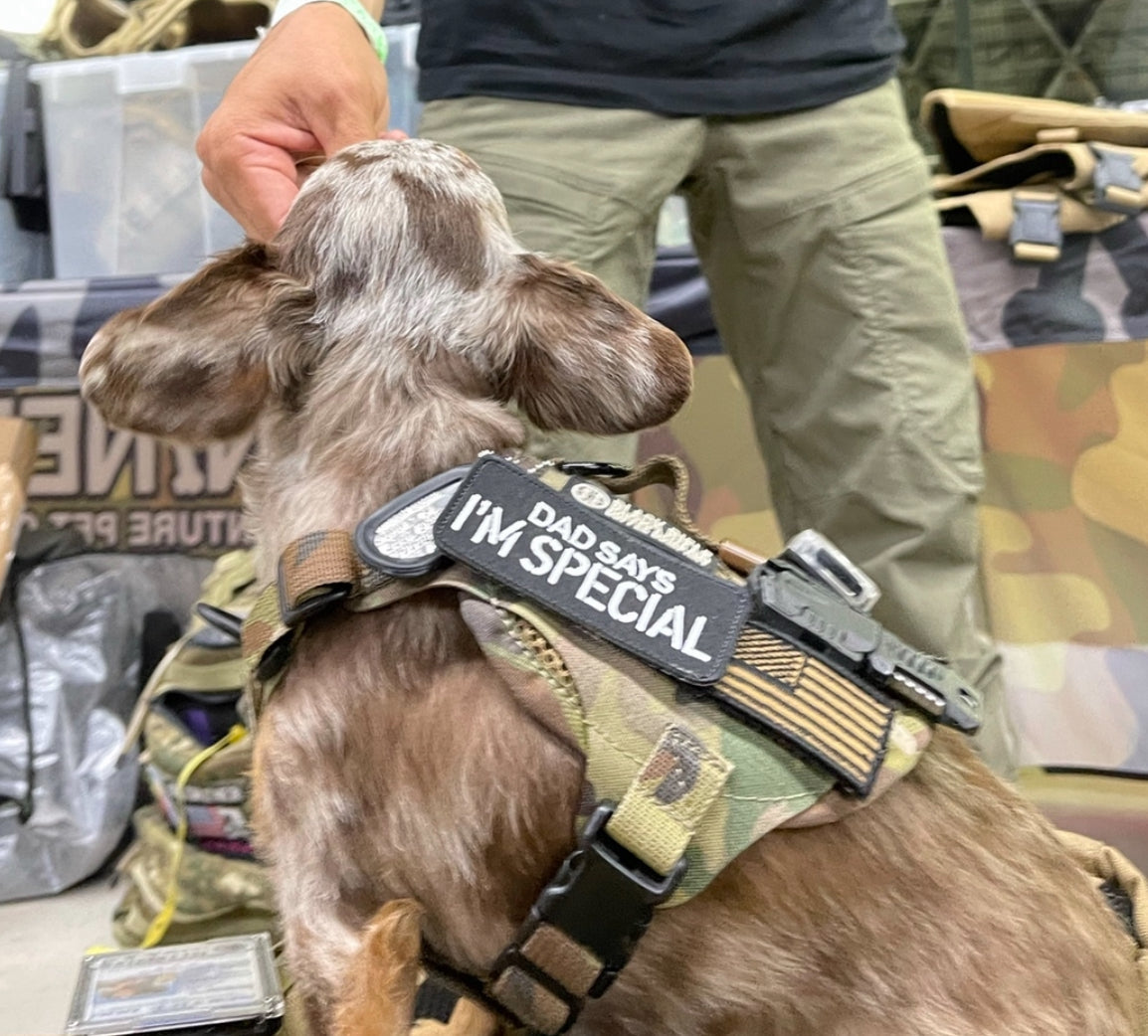 DAD SAYS I’M SPECIAL Morale Patch