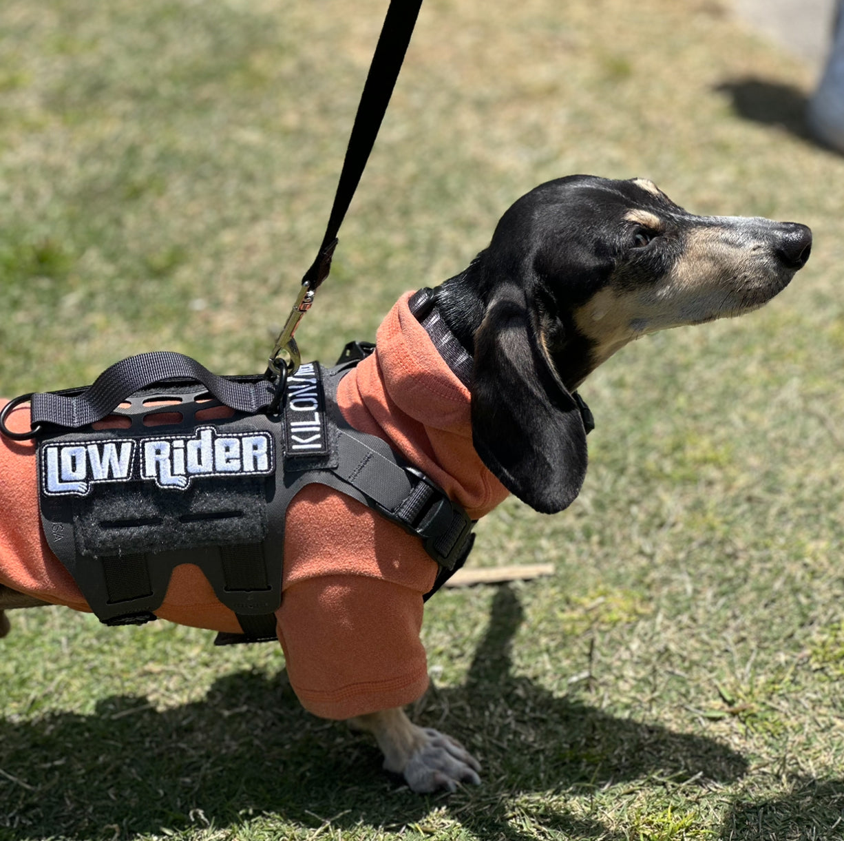 Low Rider Morale Patch