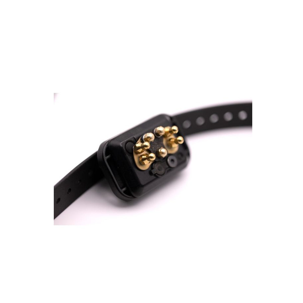 Educator Collars Comfort Pad for RX-070, RX-50 Receivers