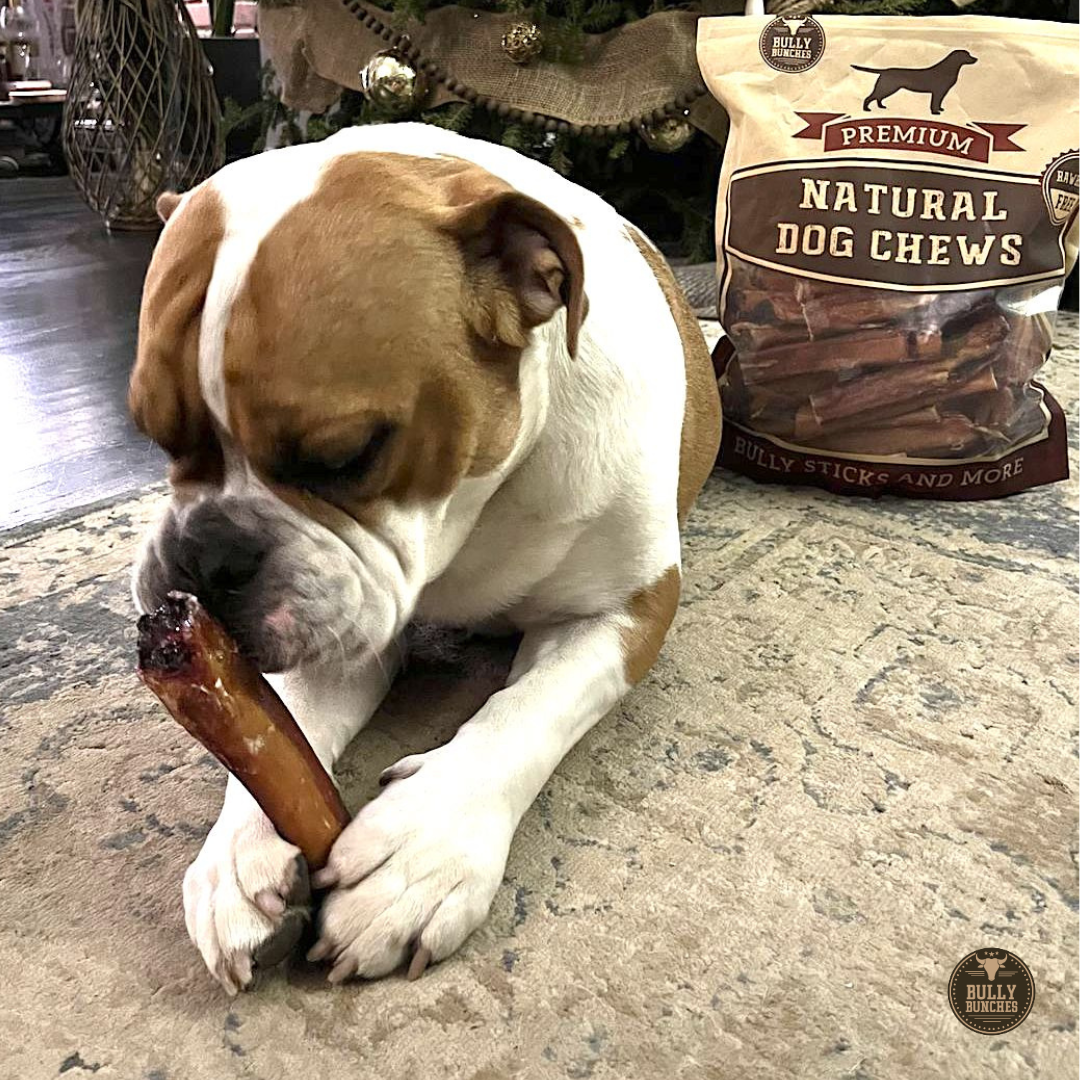 Bully Bunches 6 Inch Monster Bully Stick