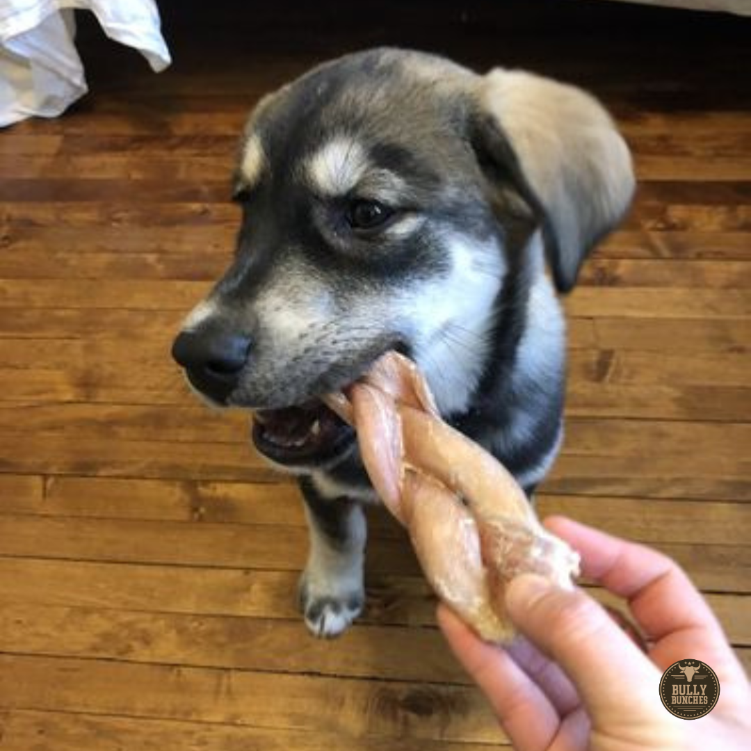 Bully Bunches 6 Inch Jumbo Braided Bully Stick