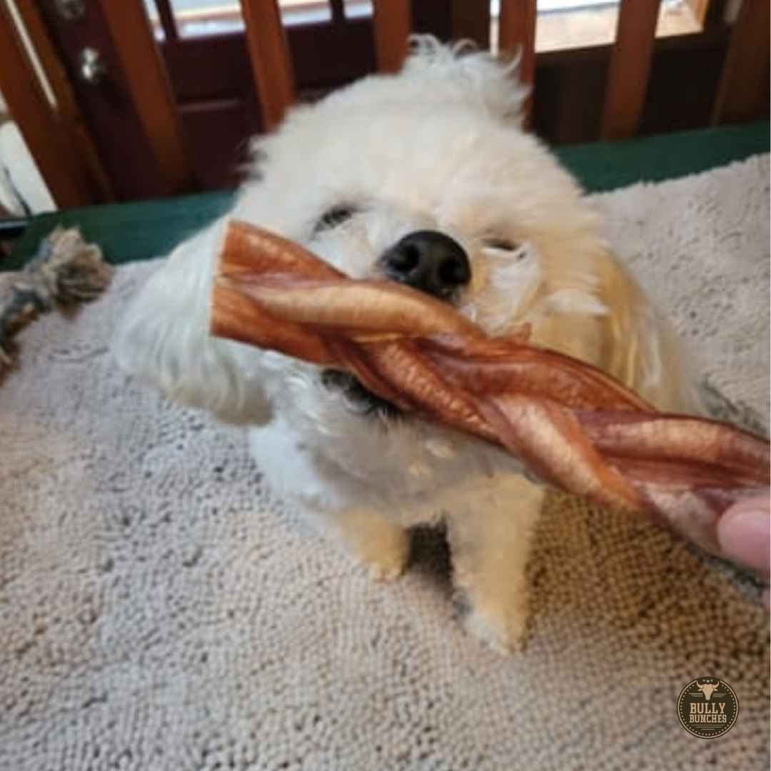 Bully Bunches 6 Inch Standard Braided Bully Stick