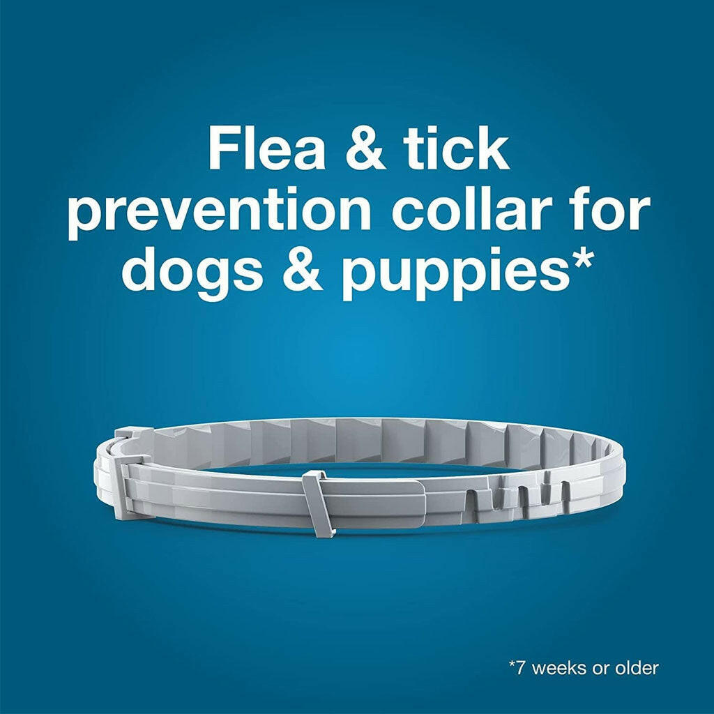 Seresto Flea & Tick Collar for Dogs, over 18 lbs + Flea & Tick Collar for Dogs, up to 18 lbs