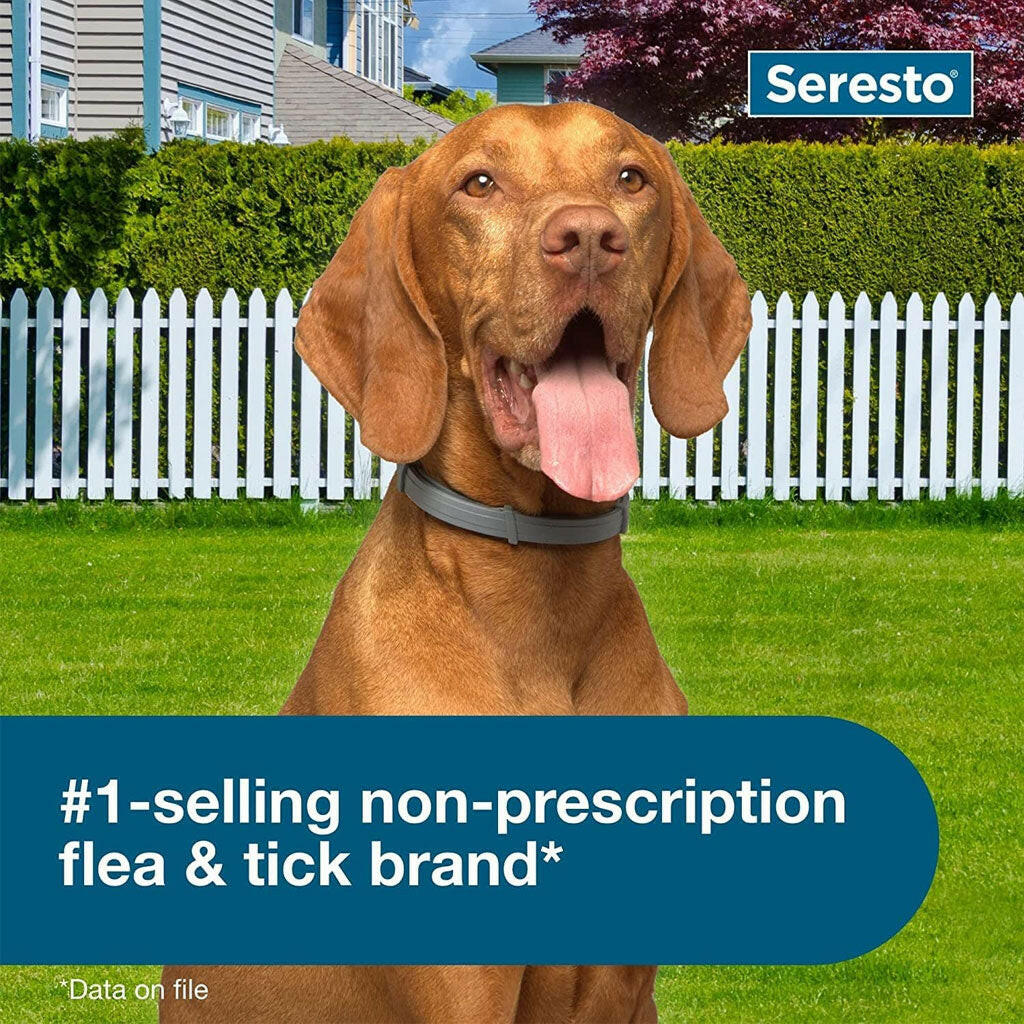 Seresto Flea & Tick Collar for Dogs, over 18 lbs + Flea & Tick Collar for Dogs, up to 18 lbs