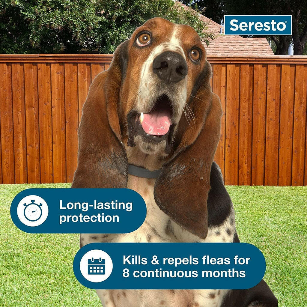 Seresto Flea & Tick Collar for Dogs, over 18 lbs + Flea & Tick Collar for Dogs, up to 18 lbs