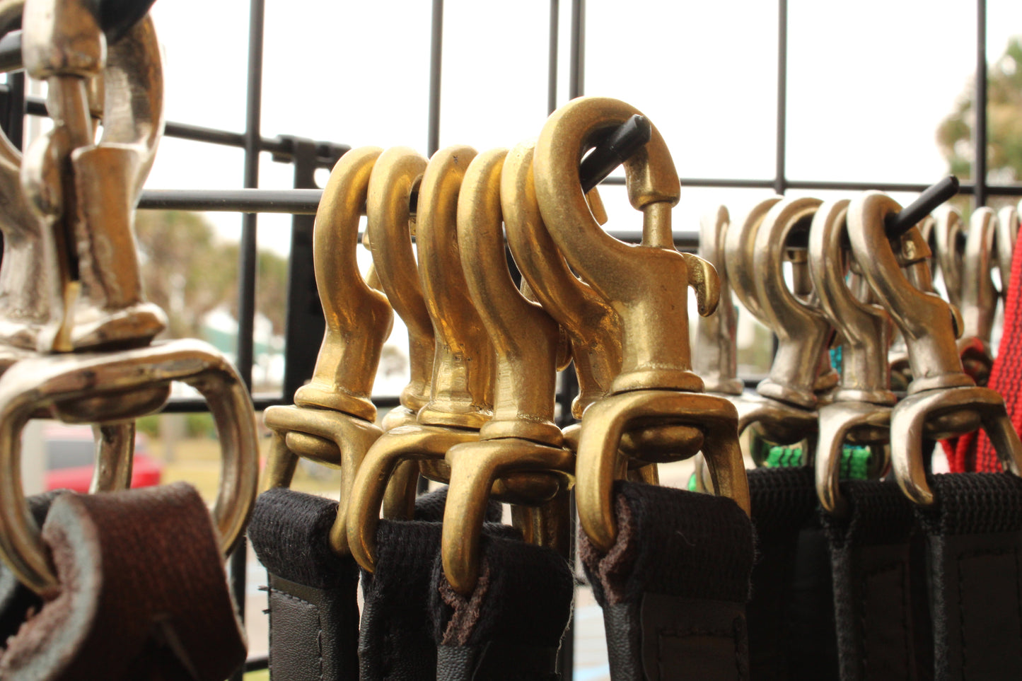 Zawar Canvas Dog Leash