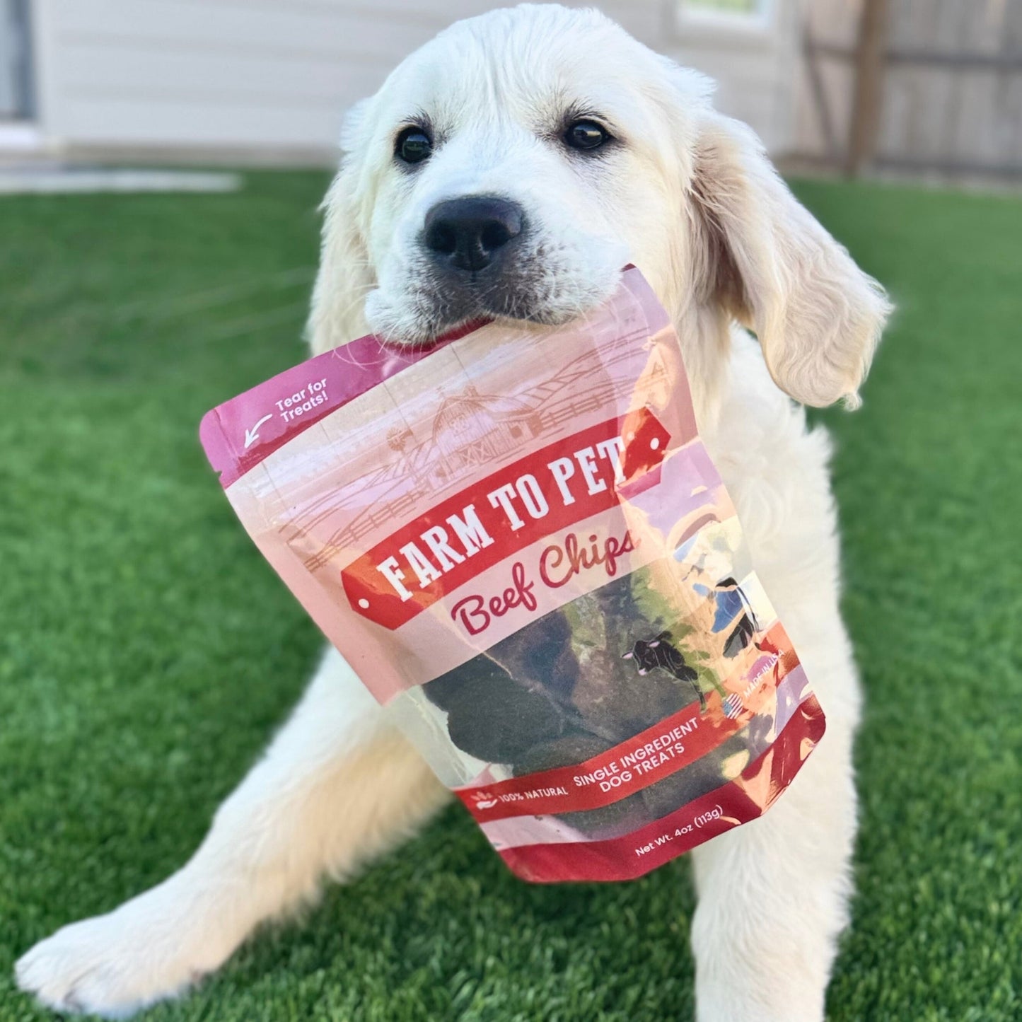 Farm to Pet Beef Chips for Dogs
