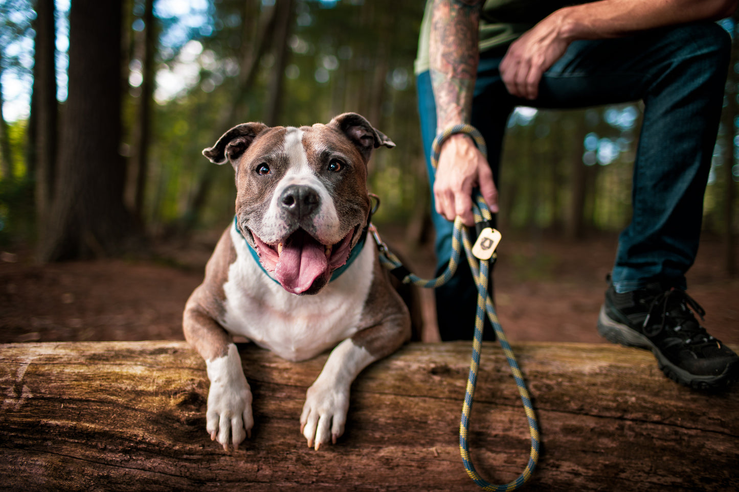 The Merrimack Company Upcycled Climbing Rope Dog Leash