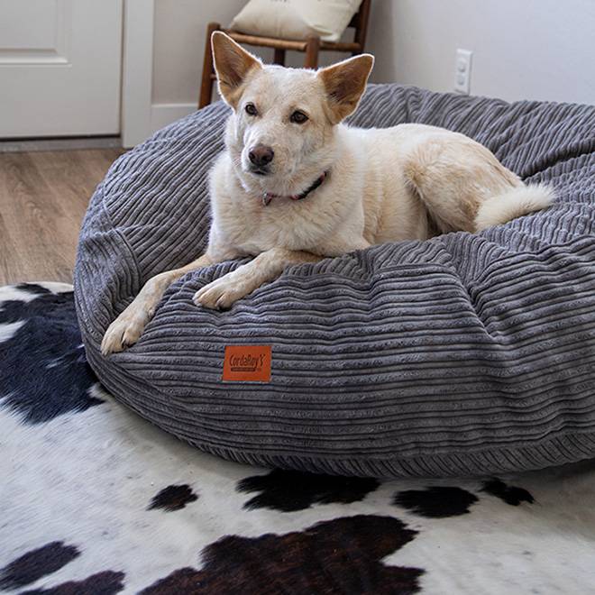 Cordaroy's 40 Inch Forever Dog Beds (Waterproof) - Terry Corduroy