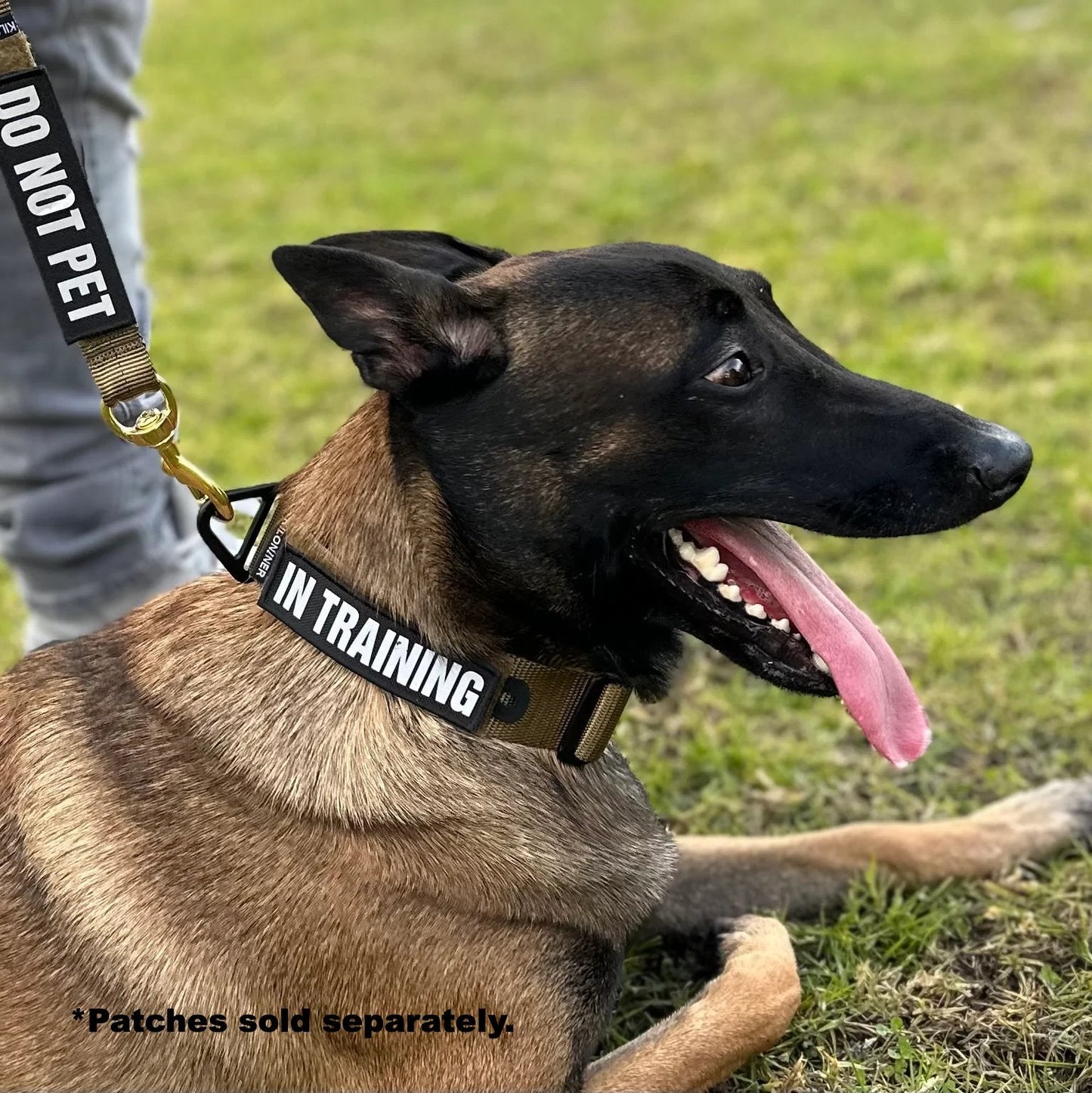 Kiloniner K9R - BCH Big Dog Collar Heavy Duty