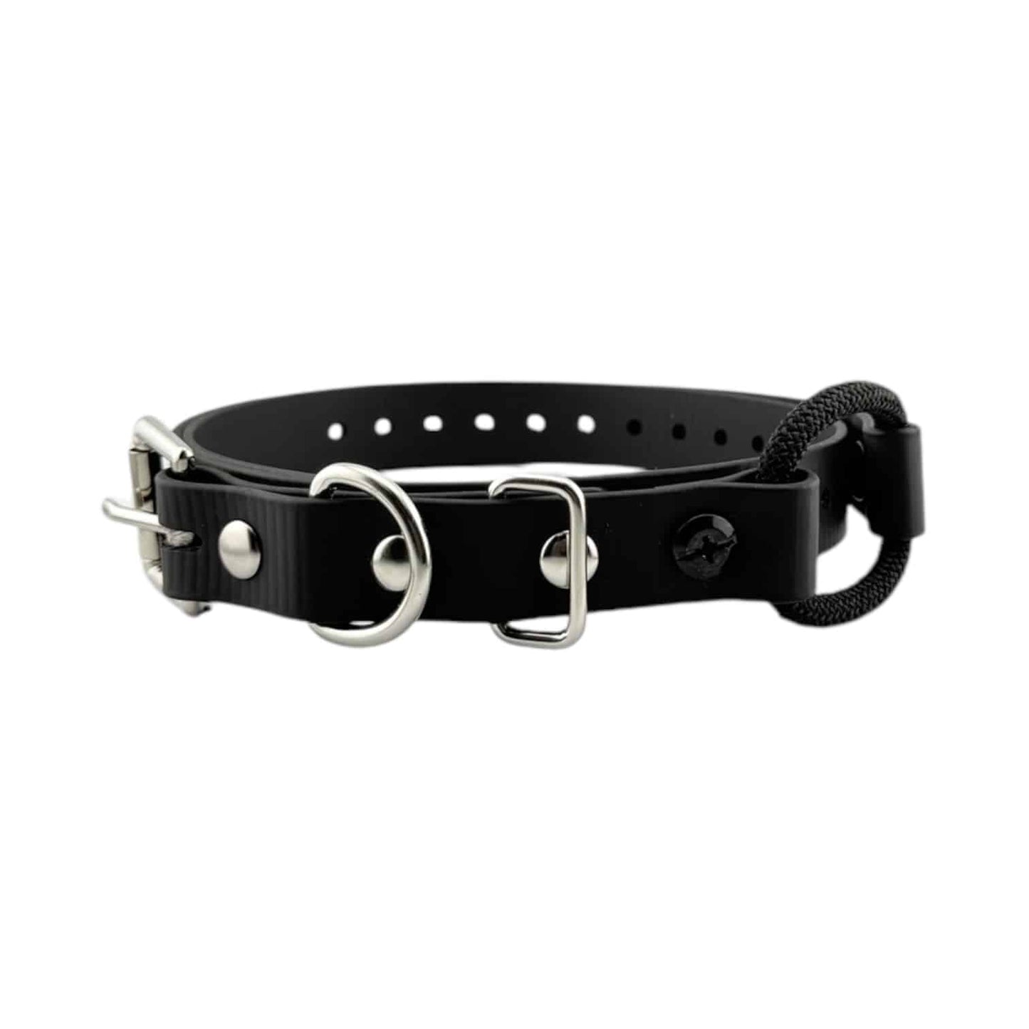 E-Collar Technologies 3/4" Bungee Collar Strap (33" Length)