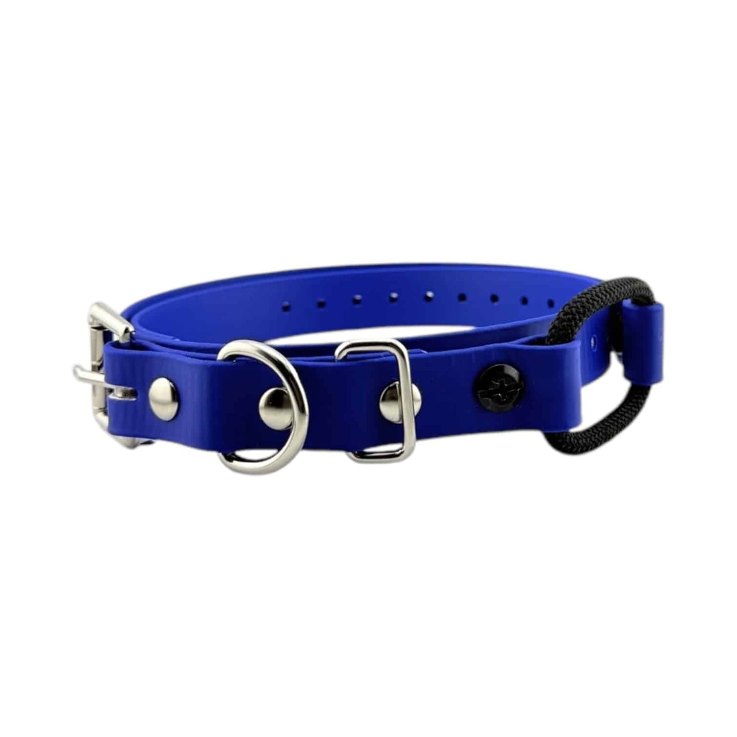 E-Collar Technologies 3/4" Bungee Collar Strap (33" Length)