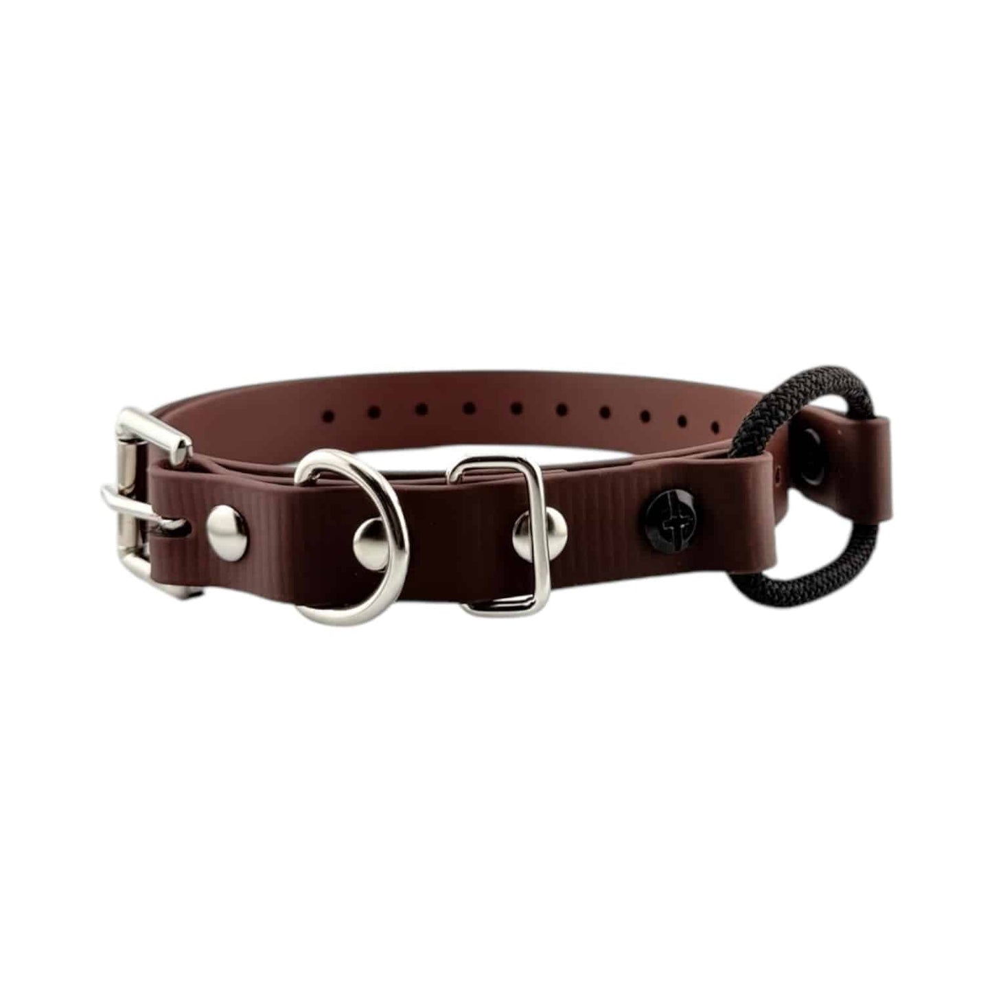 E-Collar Technologies 3/4" Bungee Collar Strap (33" Length)