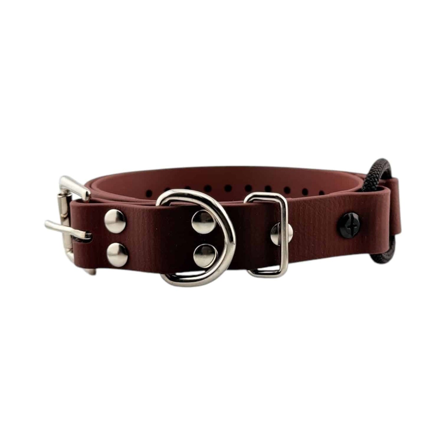 E-Collar Technologies 1" Bungee Collar Strap (33" Length)