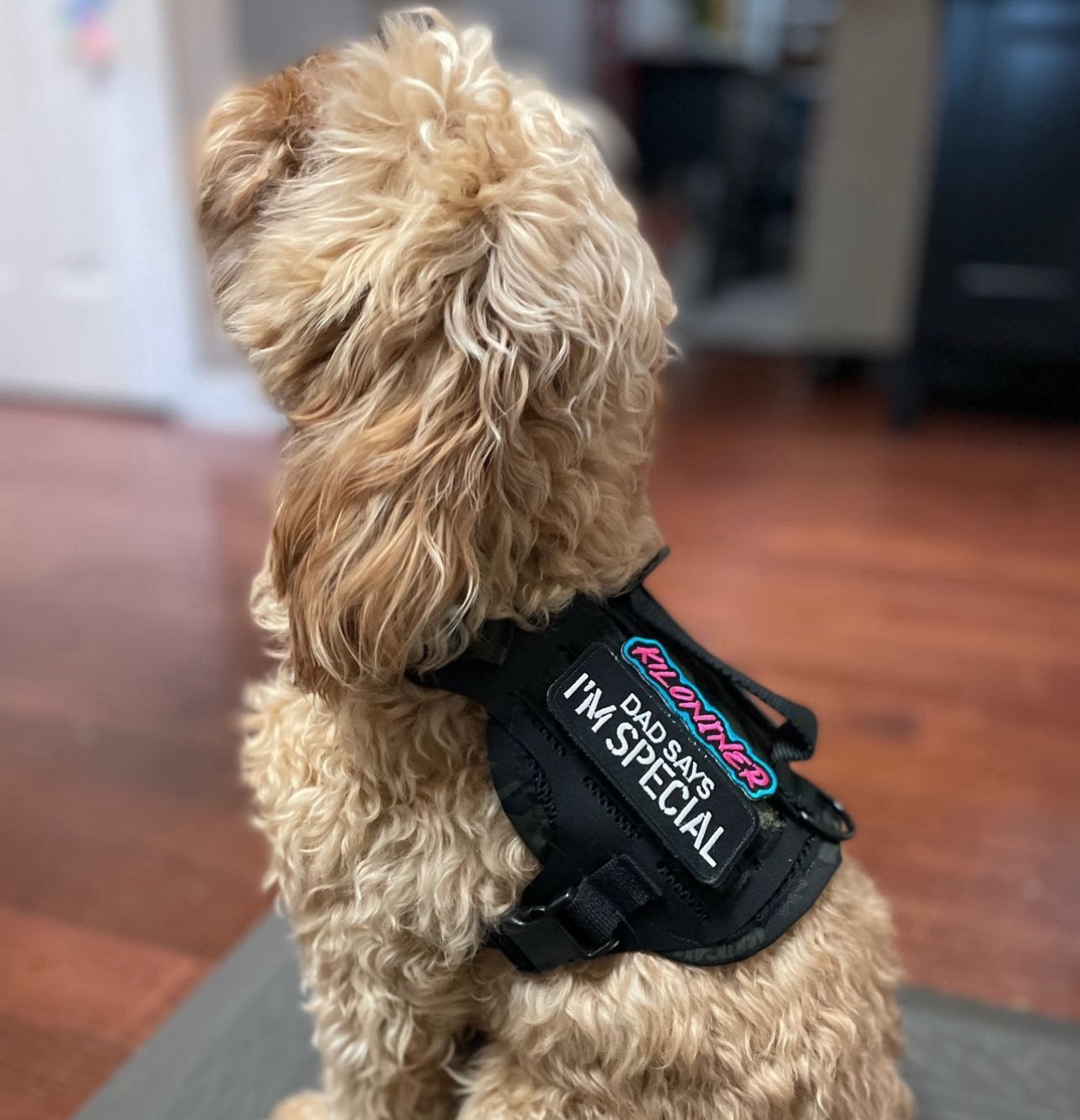 DAD SAYS I’M SPECIAL Morale Patch