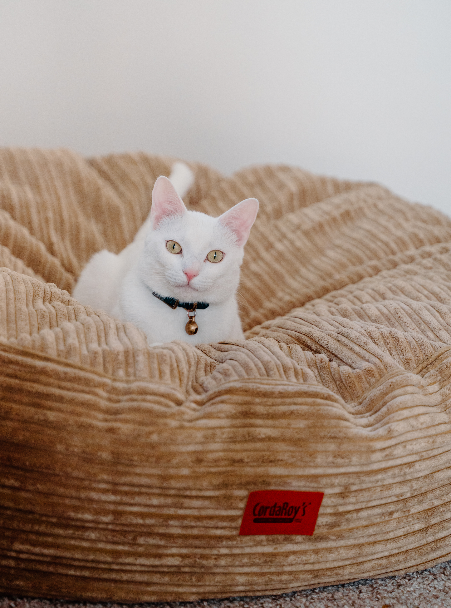 Cordaroy's Inch Forever Dog Beds (Waterproof) - Terry Corduroy