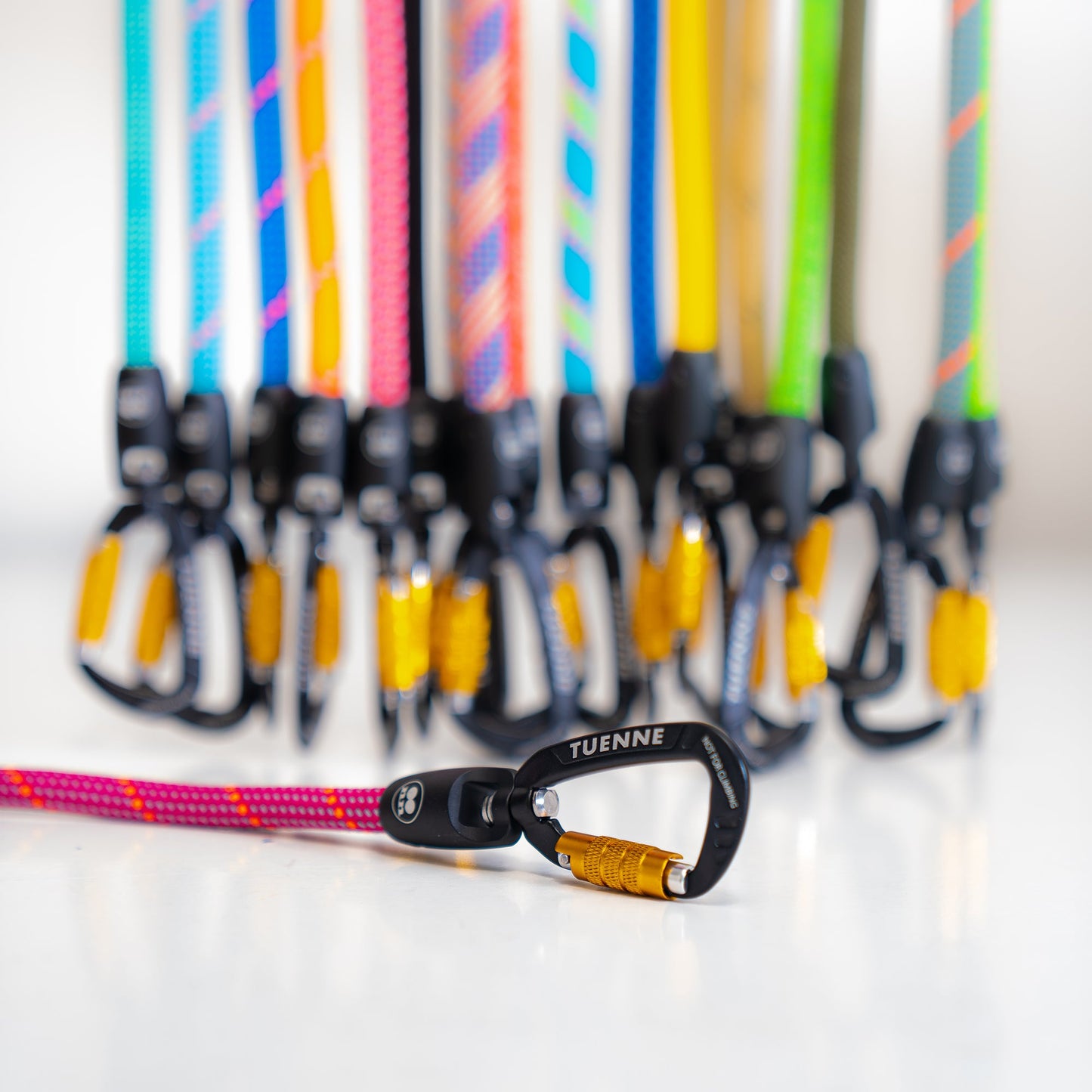 Tuenne Customizable Dog Leash