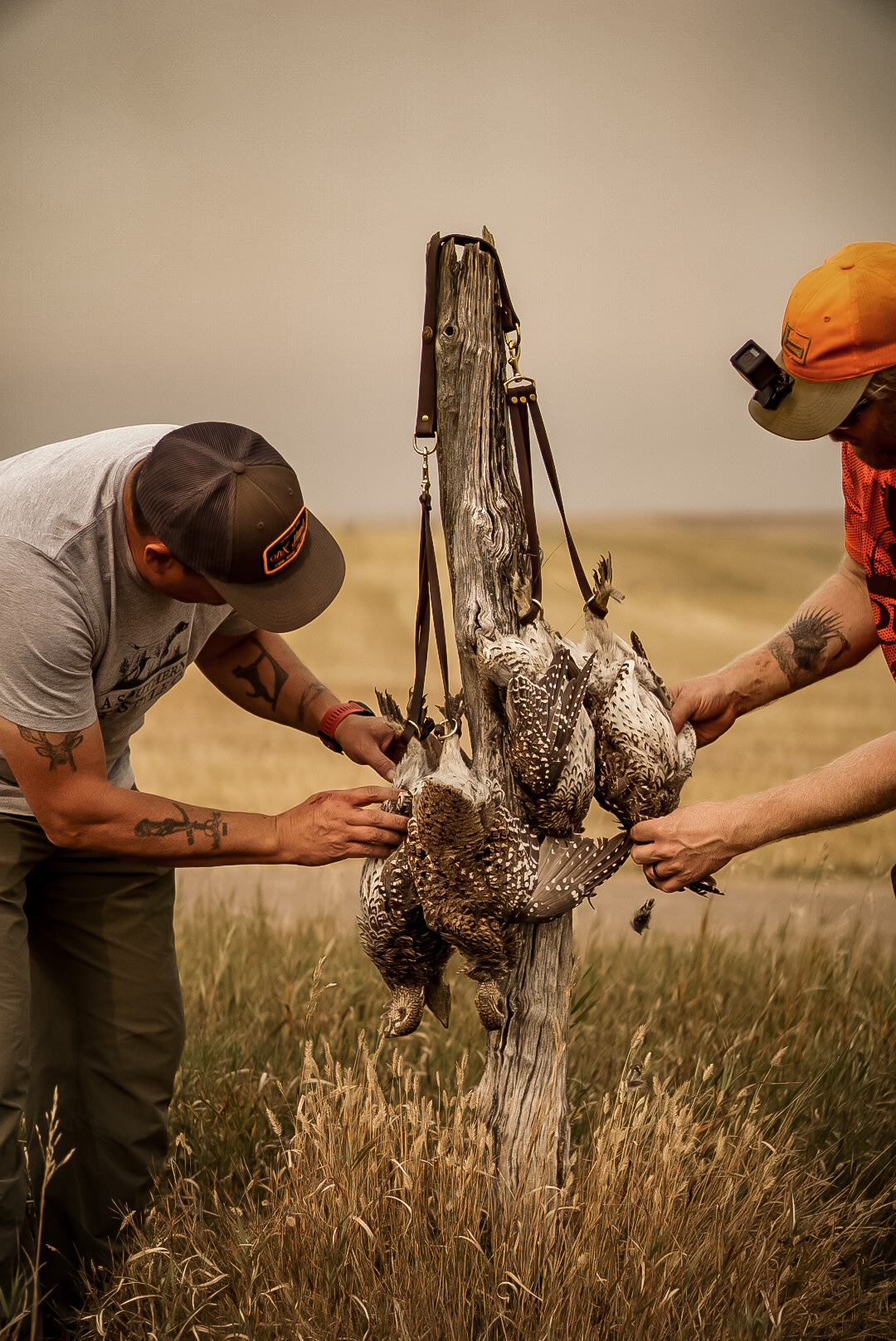 Pointer Traditions 3-Loop Drop Game Bird Carrier