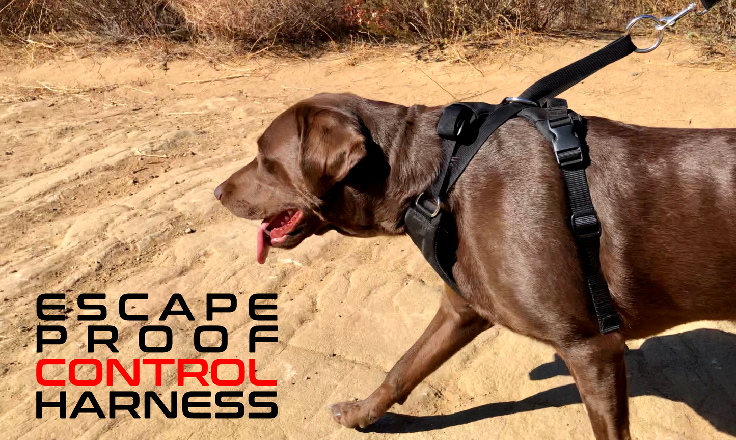 DUO 'ADAPT' No Slip Dog Harness