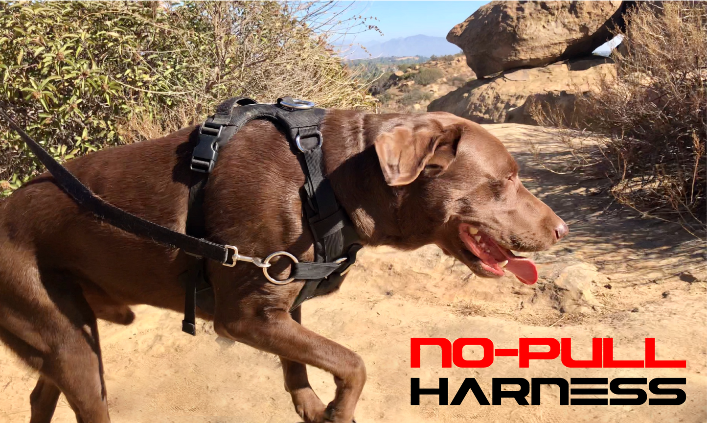 DUO 'DIRECT' No Pull Dog Harness