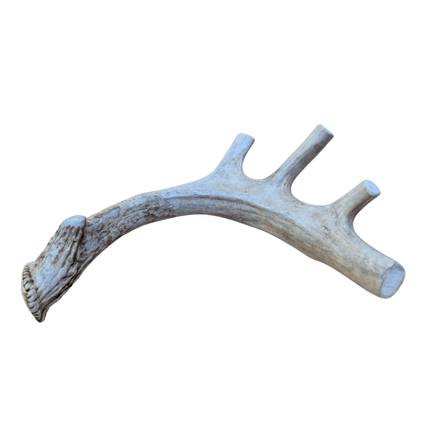 Farm to Pet Deer Antlers for Dogs