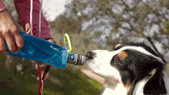 K9 Sport Sack Vapur® EZ Lick™ Portable Dog Water Bottle