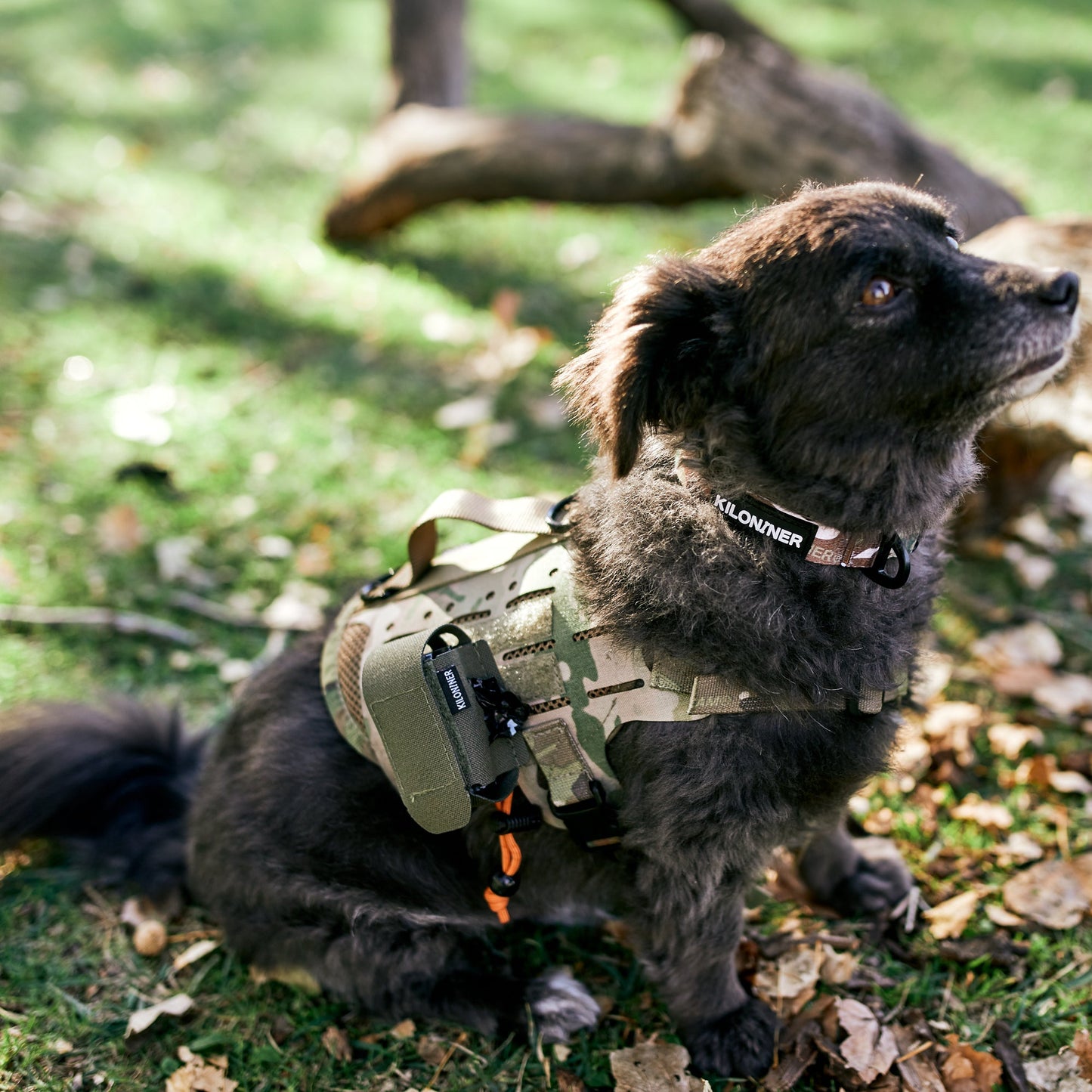 Kiloniner K9R - MP4 Poop Bag Dispenser Pouch