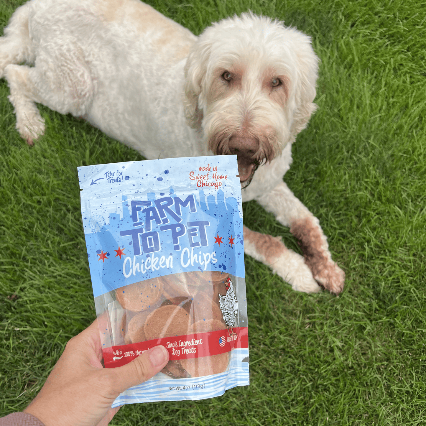 Farm to Pet Chicago Chicken Chips for Dogs