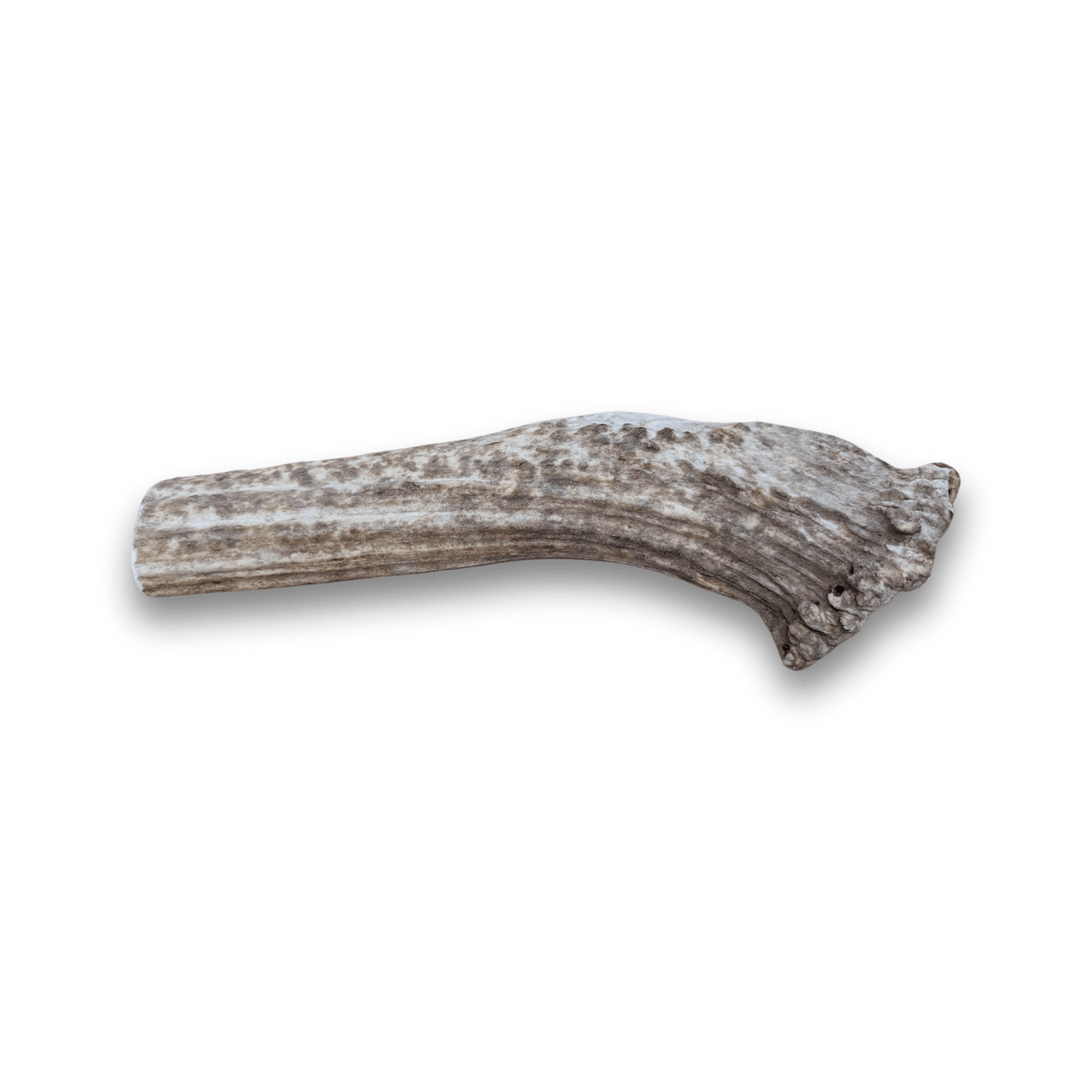 Farm to Pet Split Elk Antlers for Dogs