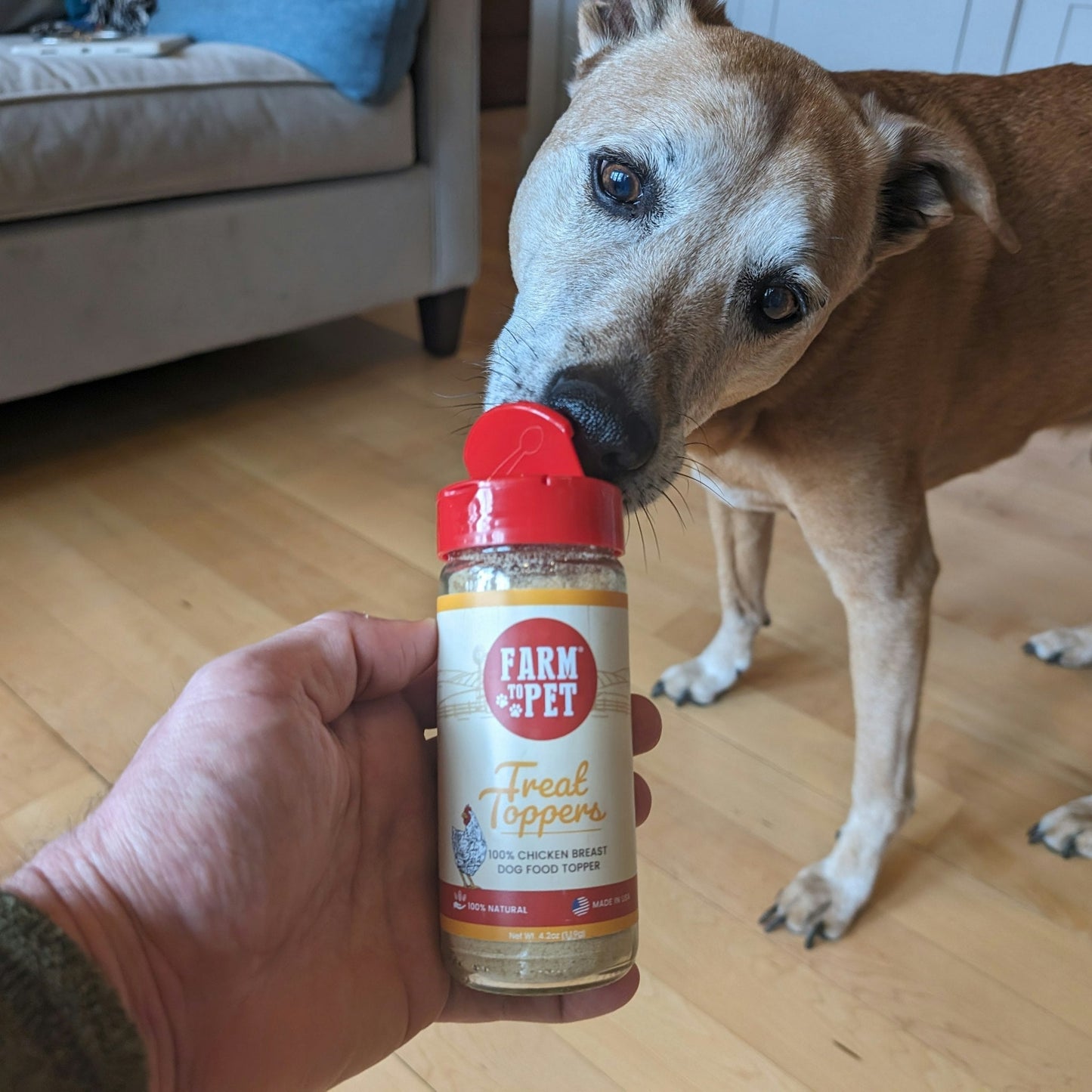 Farm to Pet Chicken Treat Dog Food Topper