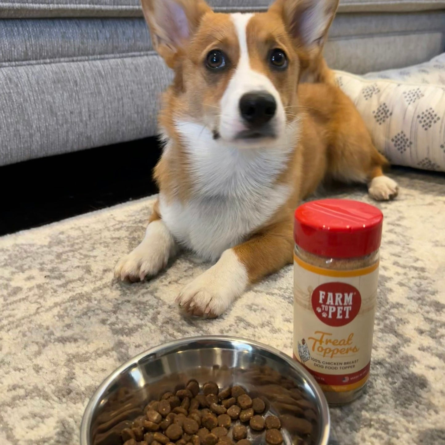 Farm to Pet Chicken Treat Dog Food Topper