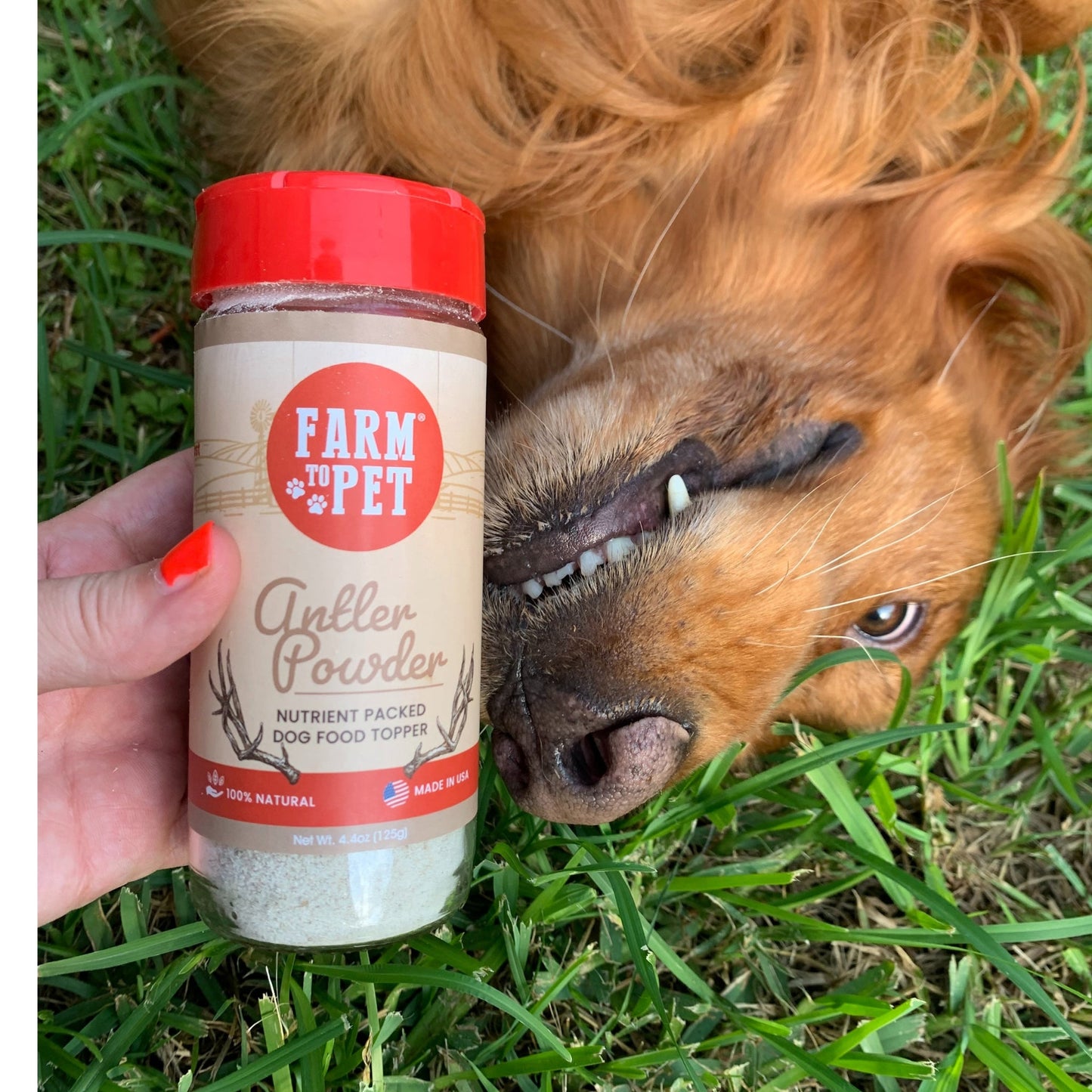 Farm to Pet Antler Powder Dog Food Topper