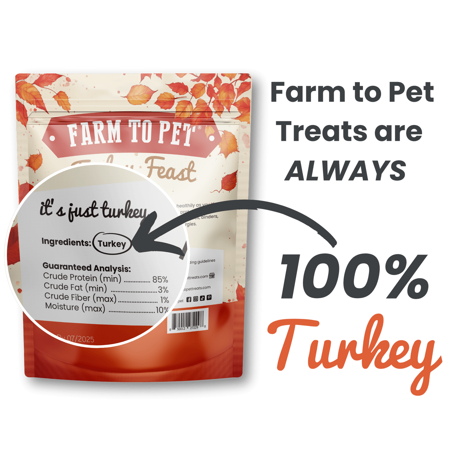 Farm to Pet Turkey Feast Chips