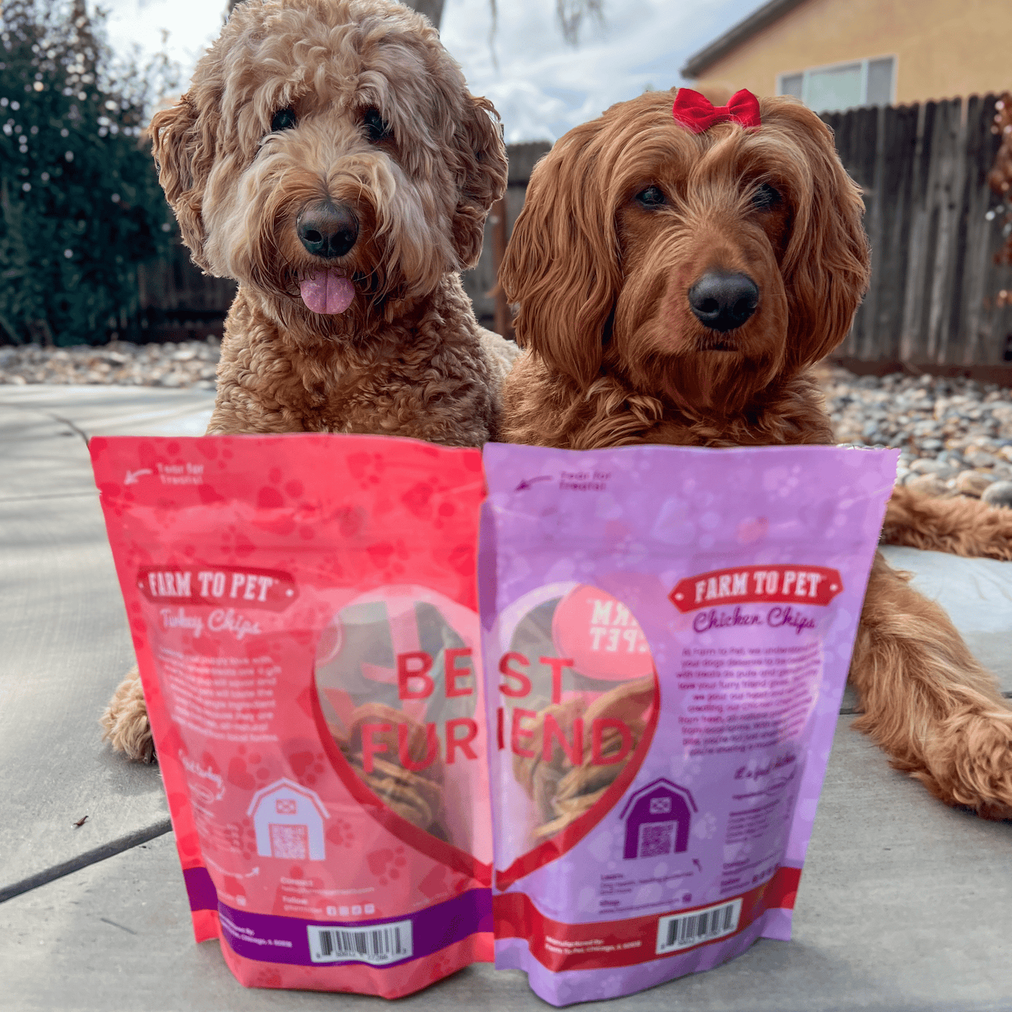 Farm to Pet Doggy LOVE Chips Bundle