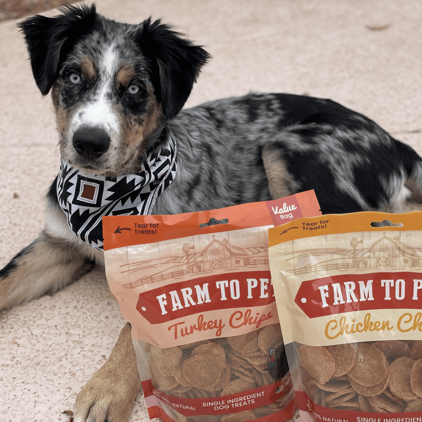 Farm to Pet Chicken & Turkey Dog Treat Bundles