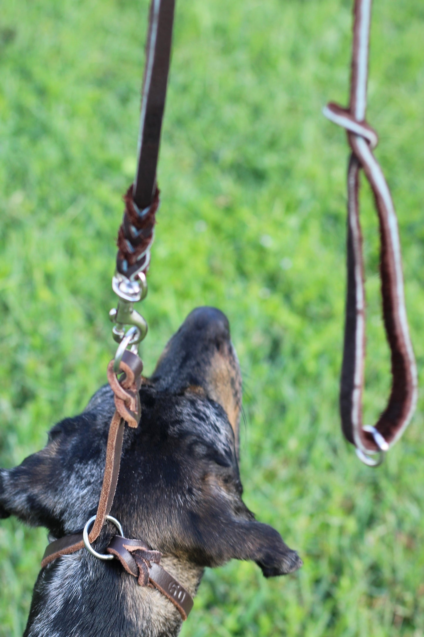 Zawar Genuine Leather Slip Lead Collar