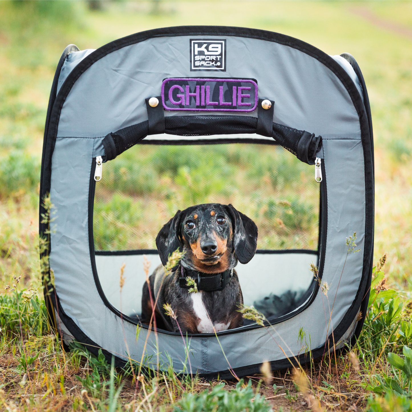 K9 Sport Sack K9 Kennel Pop-Up Dog Tent